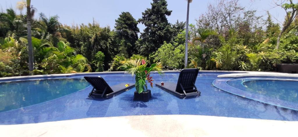 dwa krzesła i doniczka w basenie w obiekcie Quinta Edén Cuernavaca w mieście Cuernavaca