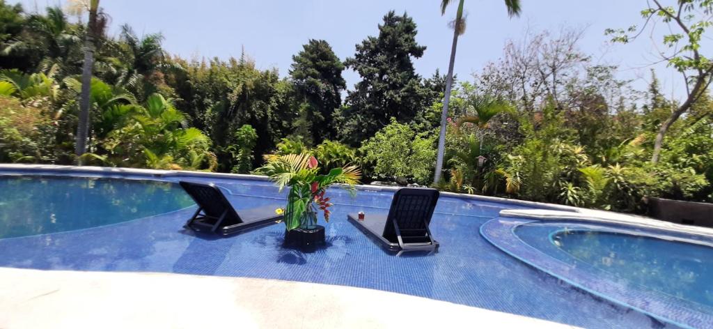 zwei Stühle und eine Pflanze neben einem Pool in der Unterkunft Hotel Boutique Edén Cuernavaca in Cuernavaca