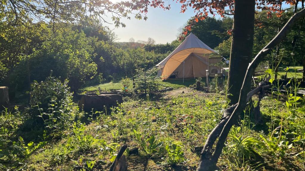 a tent in the middle of a field at Cozy Garden Glamping in Svendborg