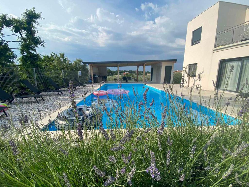 a swimming pool in front of a house at Apartment ENJOY BLUE, with pool & pets welcome in Novigrad Istria