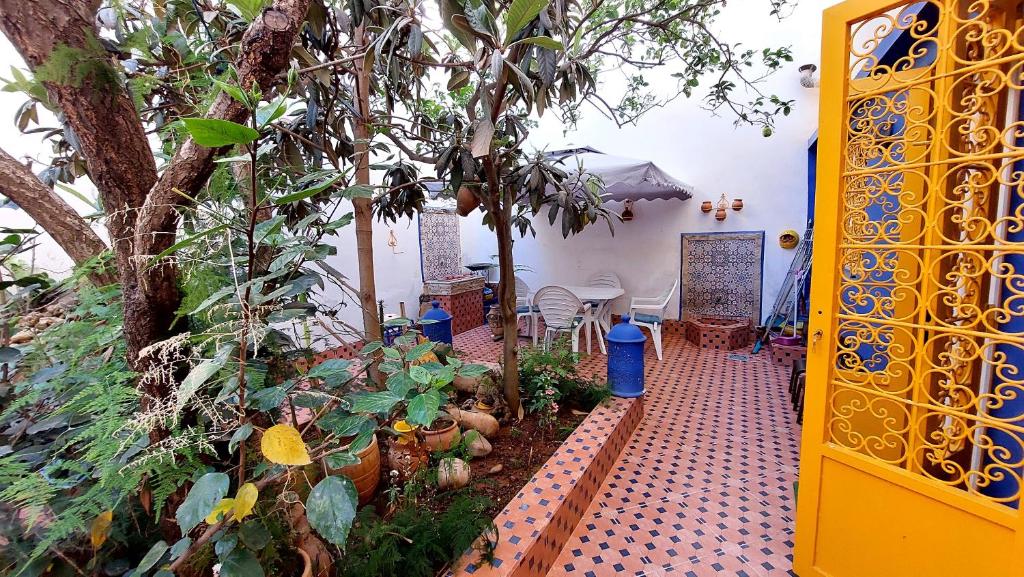 Aed väljaspool majutusasutust Taddart, Maison de vacances