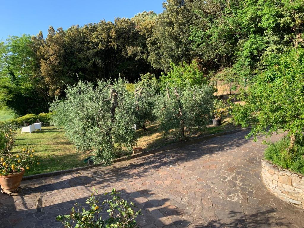 Zahrada ubytování Chianti Art Room