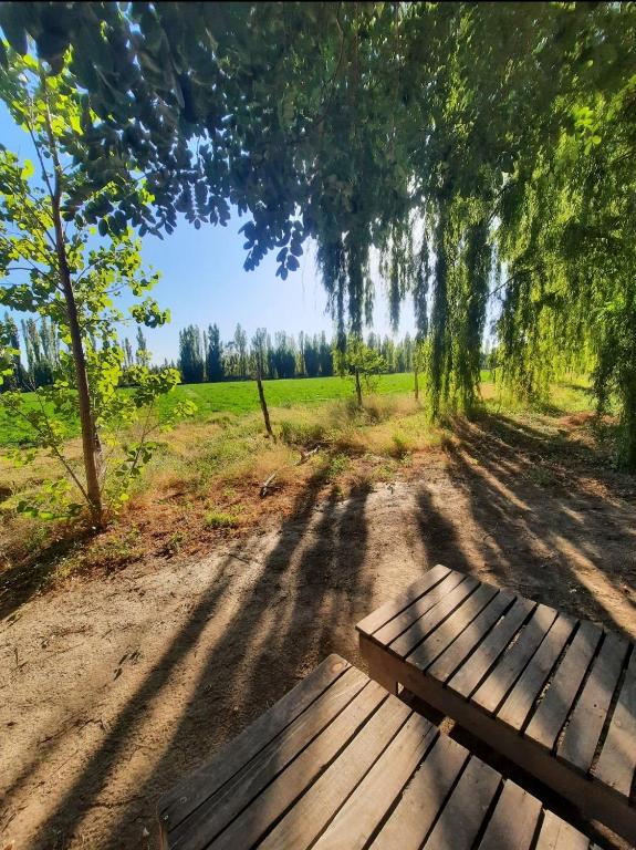 Bella Vista的住宿－Posta Kamak Eco Posada Rural，木凳坐在土路中间