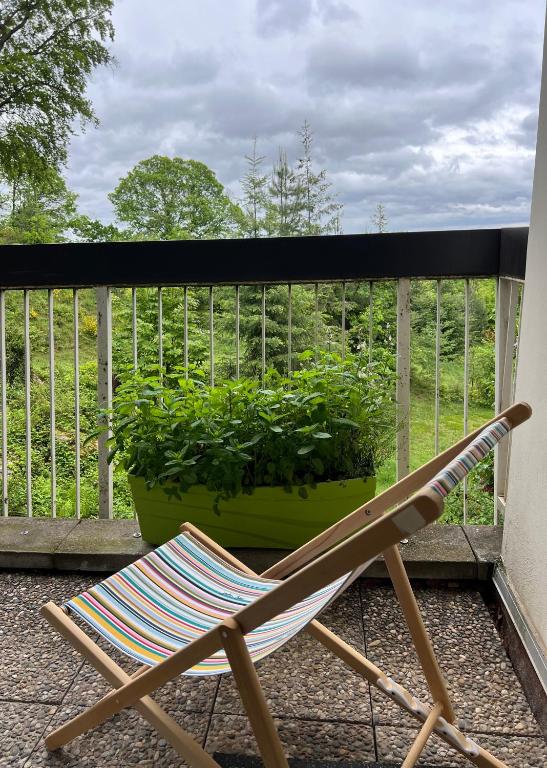 Studio entre forêt et vignoble ! – photo 11