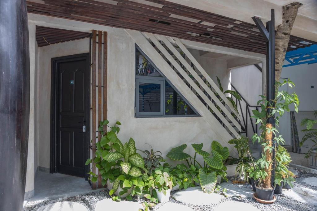 Zahrada ubytování Zinnia Maafushi