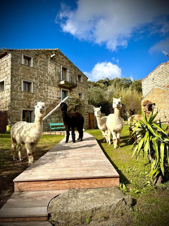 Les Bergeries de Figari, Figari (updated prices 2024)