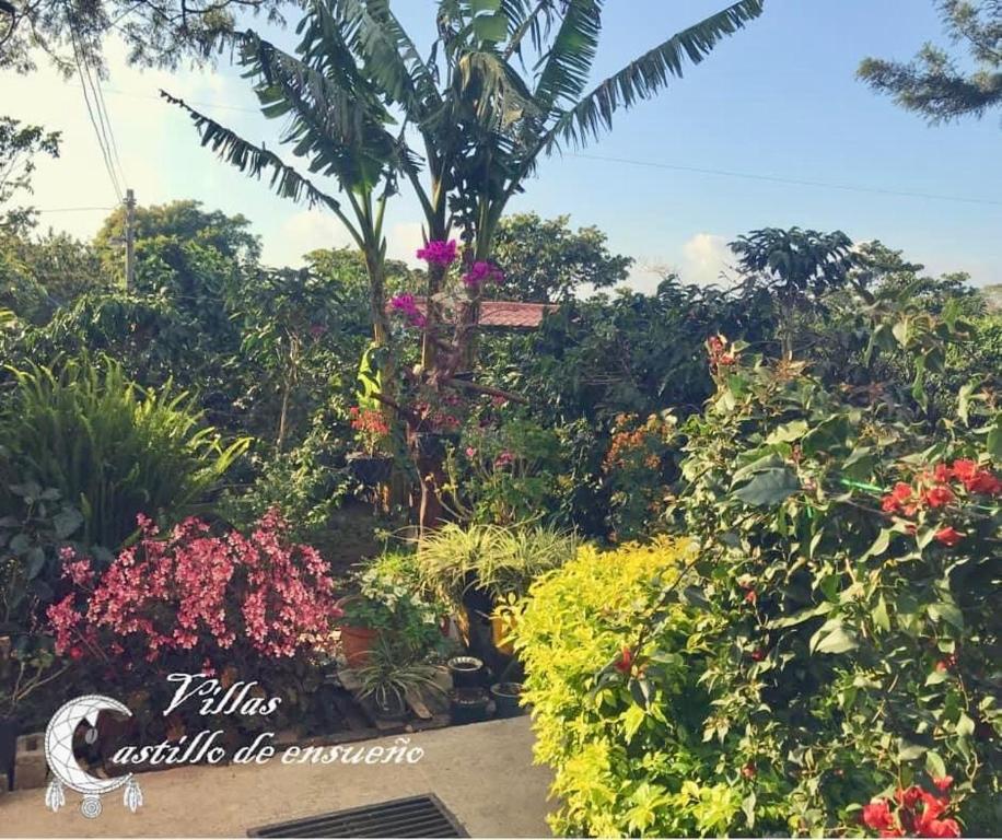 康塞普西翁德阿塔科的住宿－Villa Castillo de Ensueño，种有棕榈树的花草花园