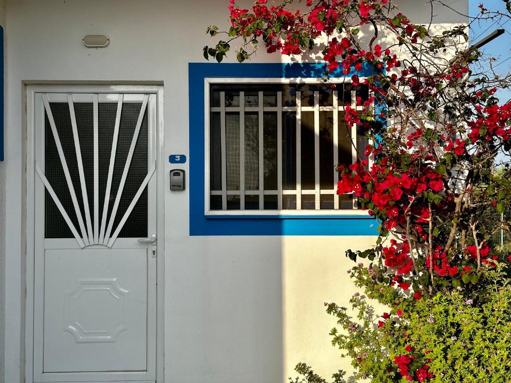 a white door and a window with red flowers at Elgreco Apartment, at Tigaki, near the sea "5" in Tigaki