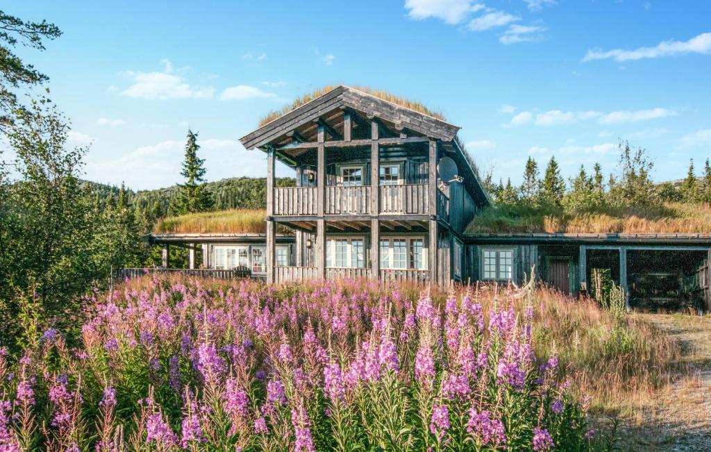 a house with a grass roof and a field of flowers at 5 Bedroom Gorgeous Home In Engerdal in Nymoen