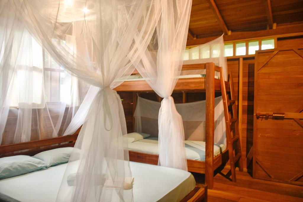 a bedroom with two bunk beds with mosquito nets at La tarima del colibri Ecolodge in El Valle