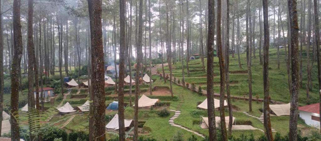 a view of a forest with tents and trees at Be Glamping Lembang in Lembang