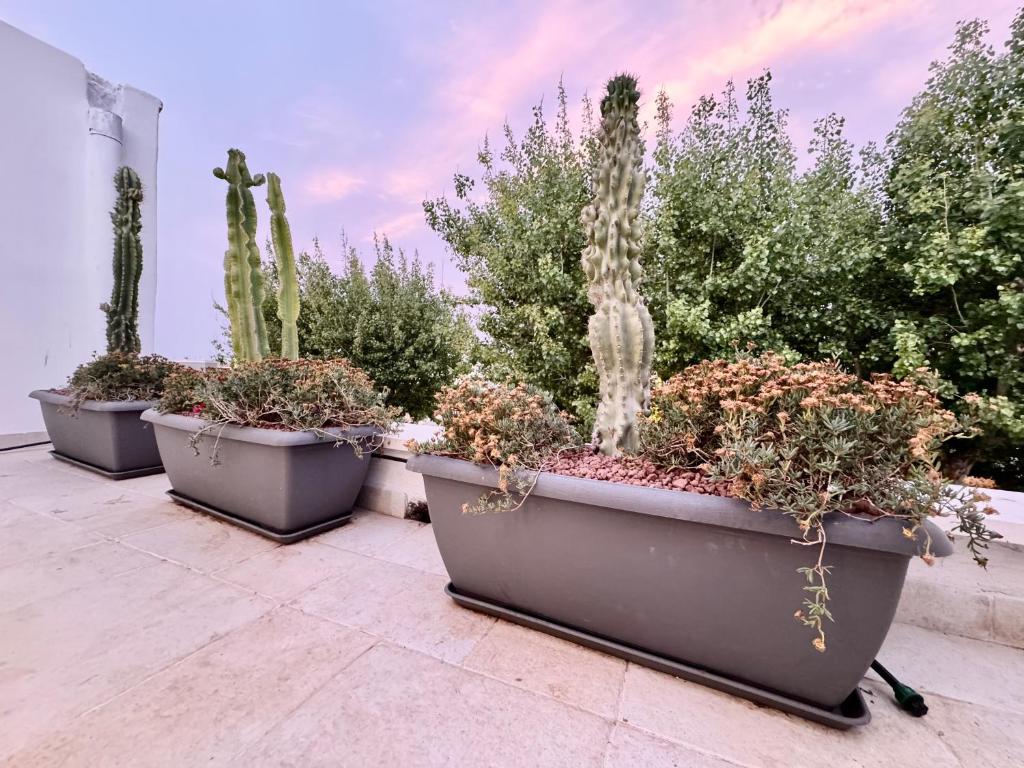 18zero2 luxury rooms - Junior Suite Con Terraza