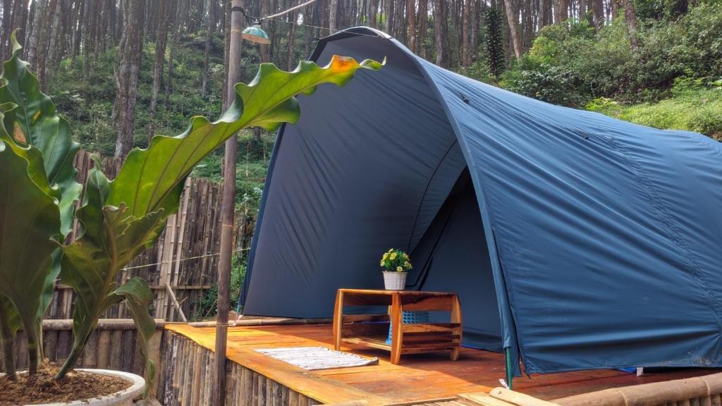 a blue tent on a wooden deck with a plant at wulandari reverside camping ground pinus singkur in Bandung
