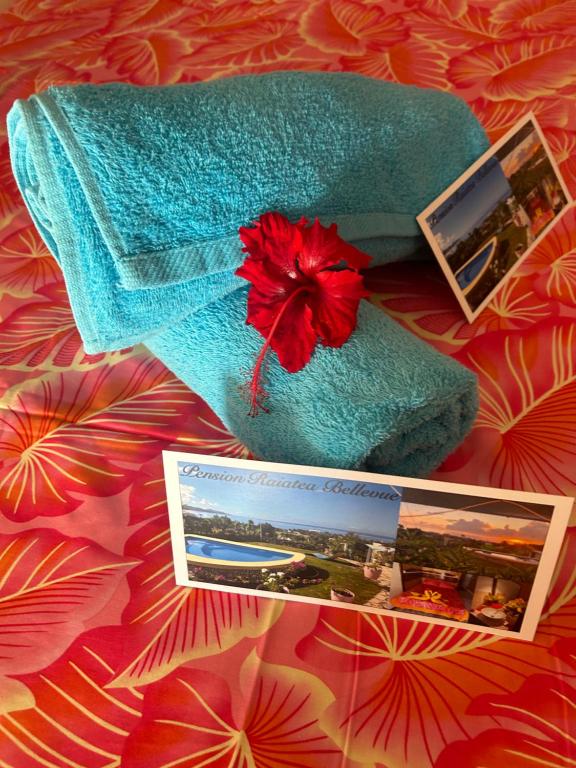 Posezení v ubytování Raiatea Bellevue