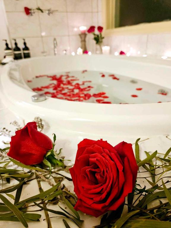 a red rose in front of a bath tub at The Gamekeepers Spa Cottage in Tamborine Mountain in Mount Tamborine