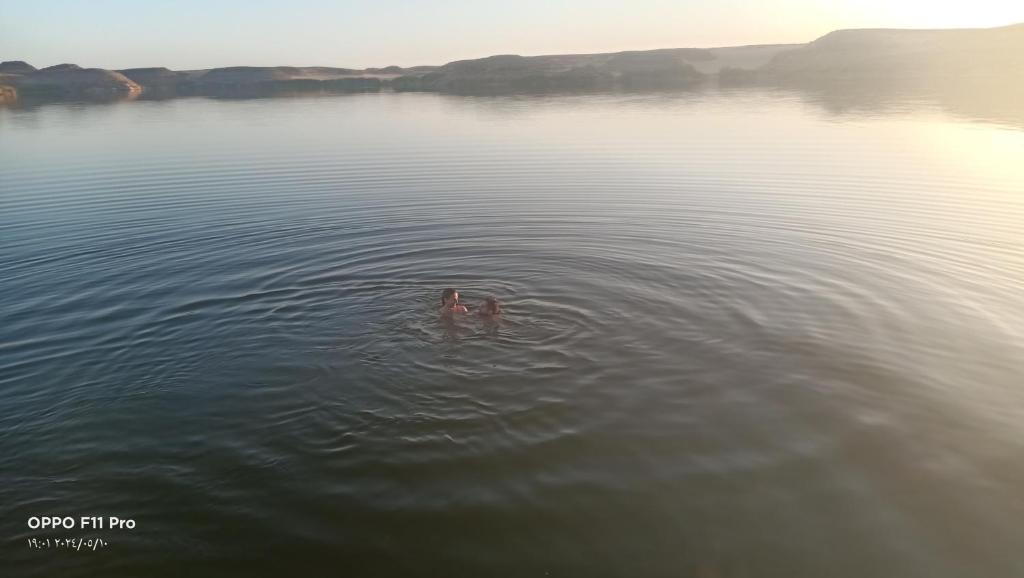 two people swimming in a body of water at Amon guest house in Abu Simbel