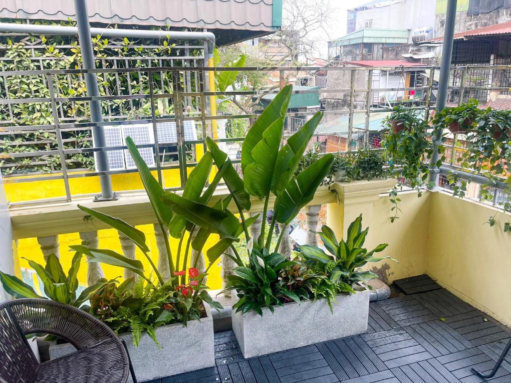 a balcony with a bunch of plants on a building at Sunny Garden Balcony in Old Quarter, Free Laundry, Free Water in Hanoi