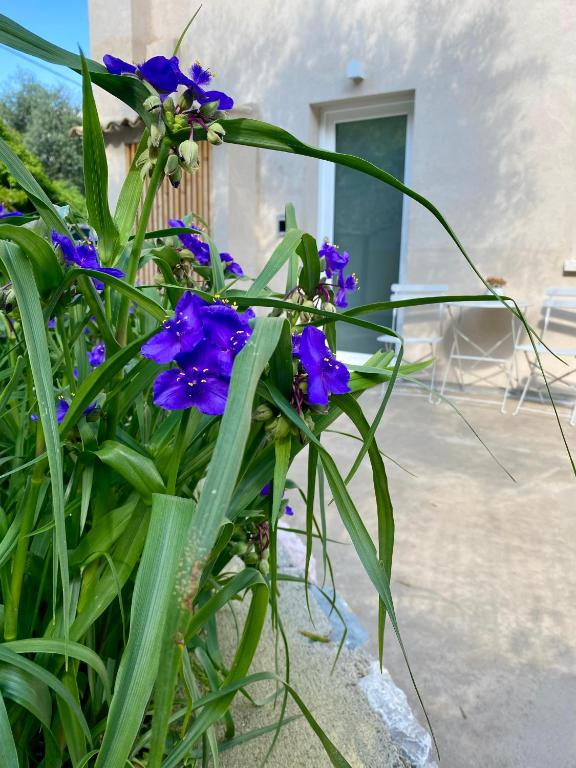Zahrada ubytování Relais PINF