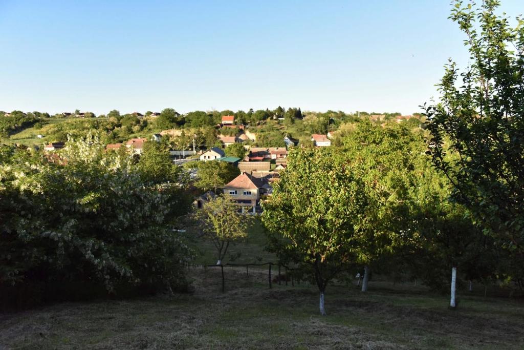 Příroda nedaleko apartmánu