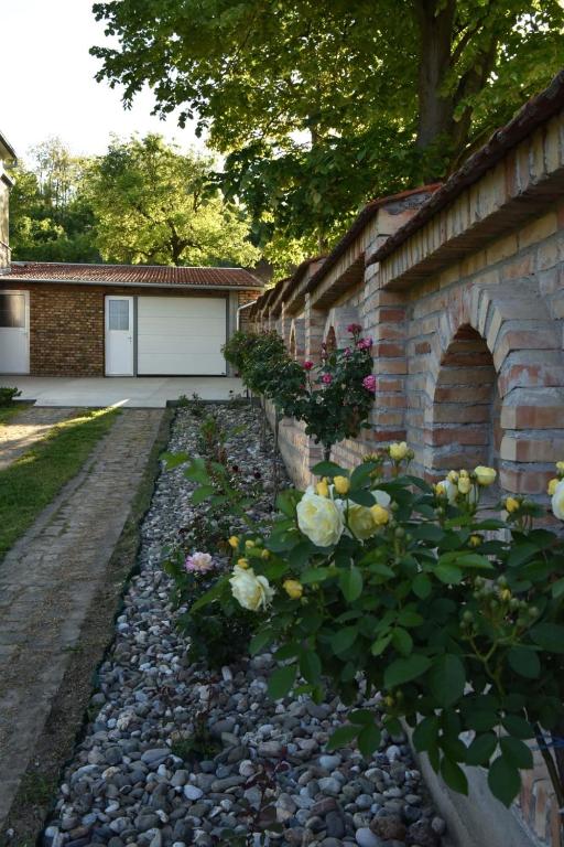 Zahrada ubytování Apartmani Reset