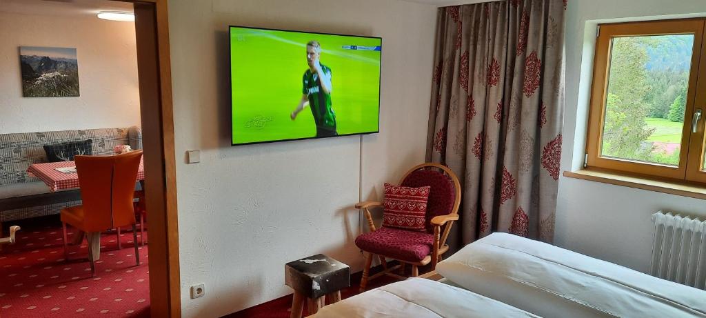 TV a/nebo společenská místnost v ubytování Berghof Mehlan
