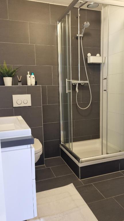een badkamer met een douche, een wastafel en een toilet bij Cozy apparment close to center with big terrace in Amsterdam