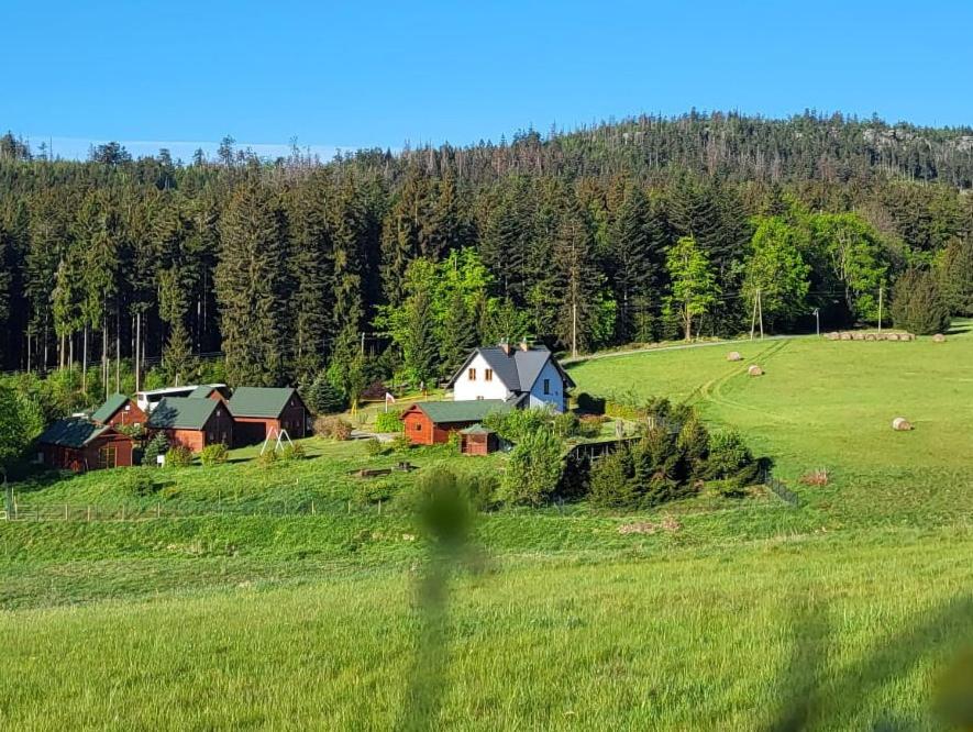 a green field with a barn and animals in a field at Czerwona Woda in Karłów