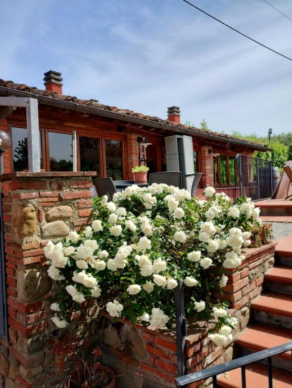 um arbusto de flores brancas em frente a uma casa em Al Sangallo Agriturismo em Montecarlo