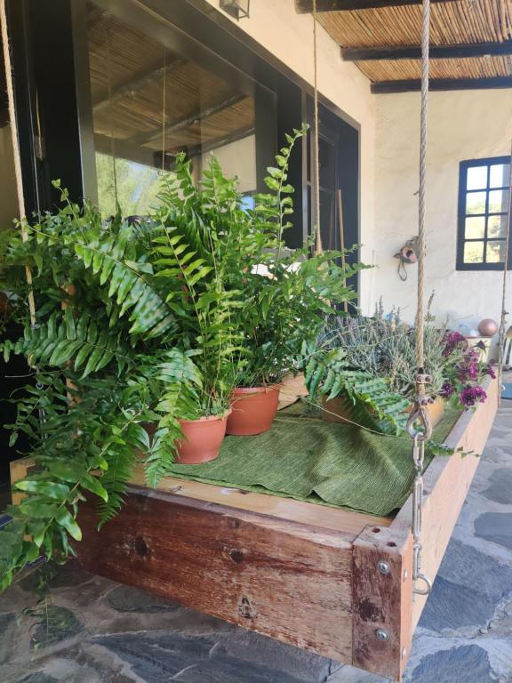 Zahrada ubytování estudio Wabi-Sabi