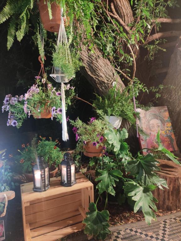 Zahrada ubytování estudio Wabi-Sabi