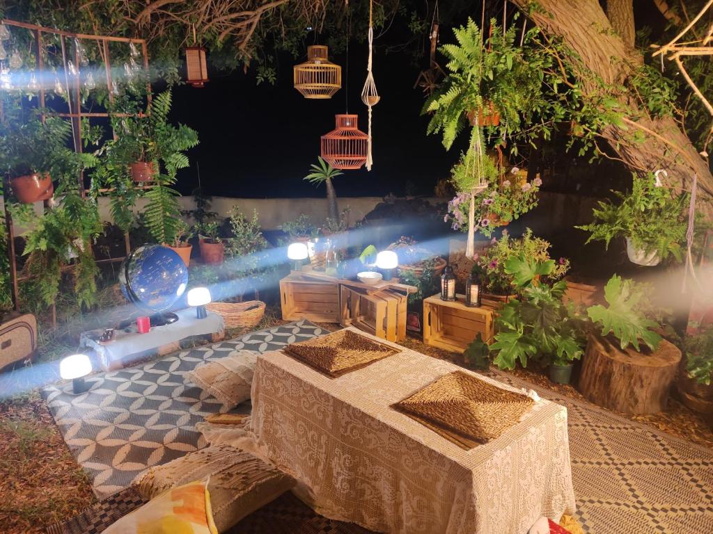 Zahrada ubytování estudio Wabi-Sabi