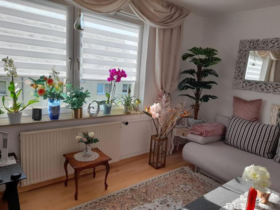 a living room with a couch and a window with potted plants at Ostseenähe in Groß Stieten