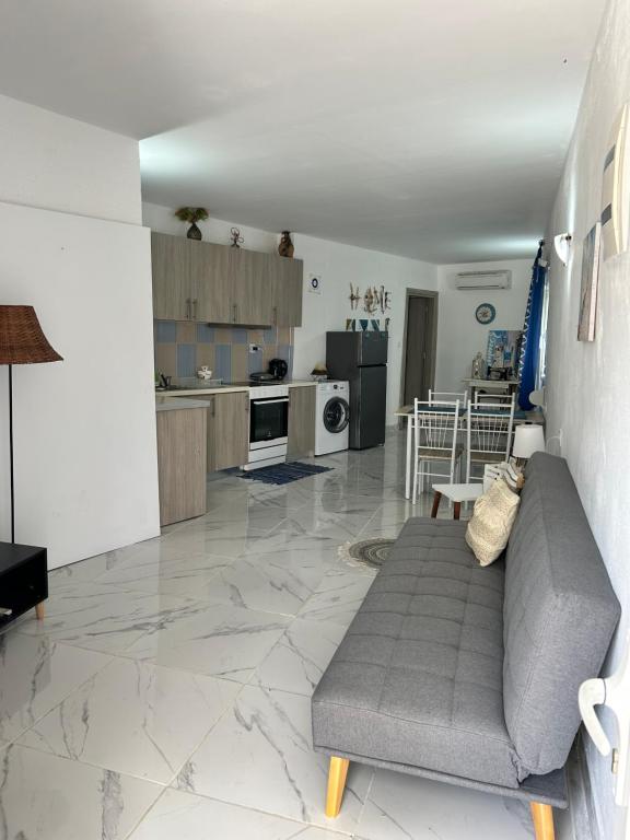 阿察格羅斯的住宿－Stegna Blue Shell，带沙发的客厅和厨房