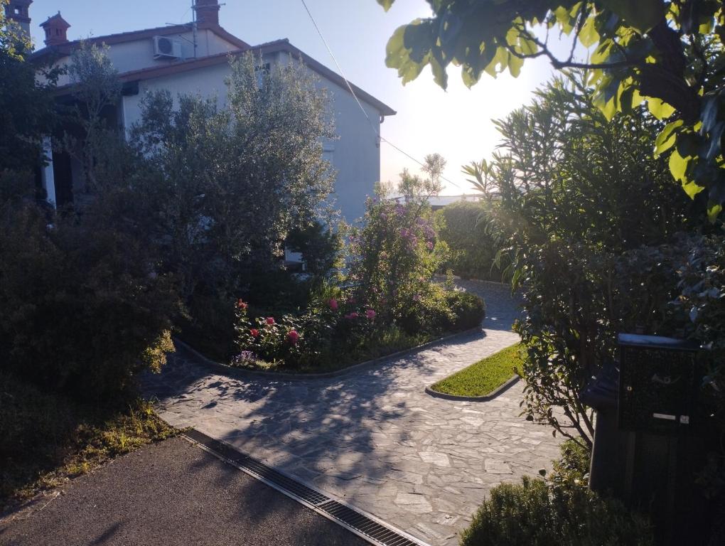 Κήπος έξω από το Zala Apartment