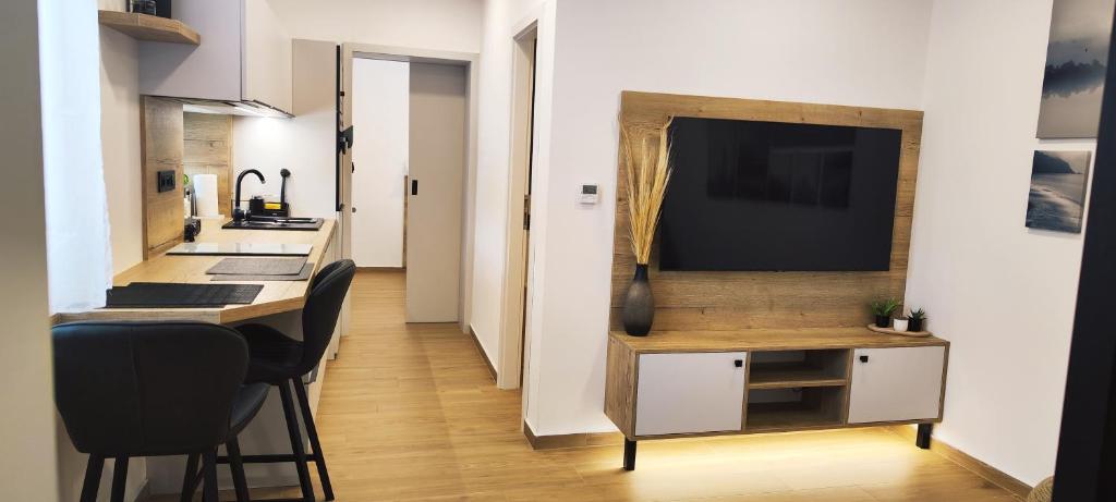 HANESI apartments Luhačovice - 一居室公寓
