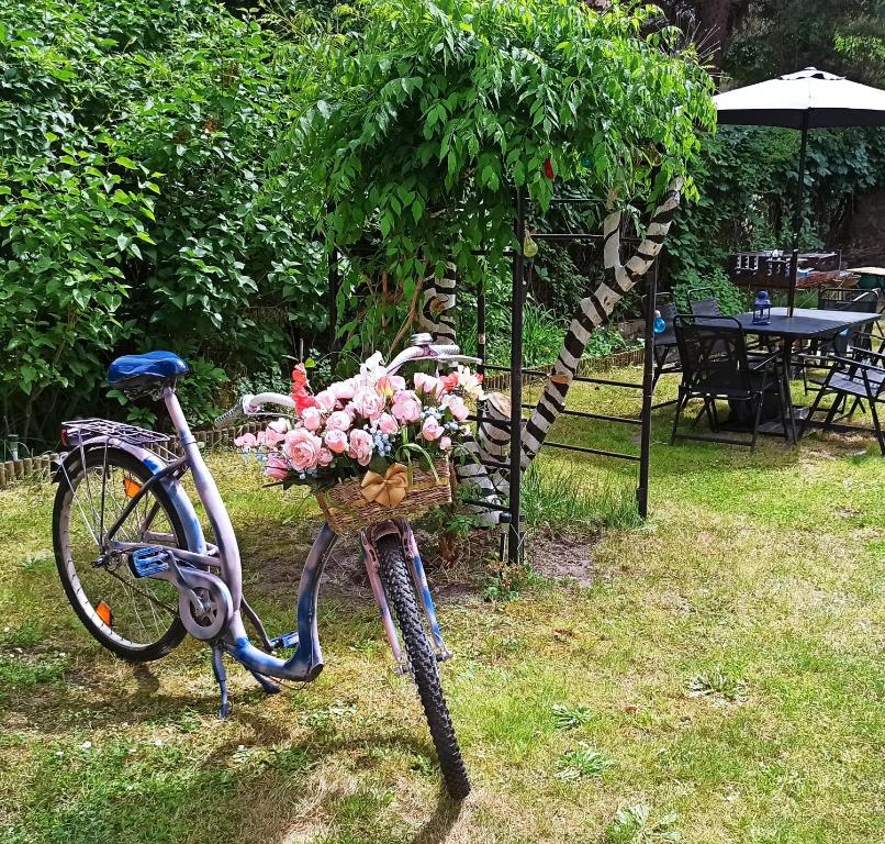 ein Fahrrad mit einem Korb voller Blumen drauf in der Unterkunft Willa Retro Hostel in Krakau