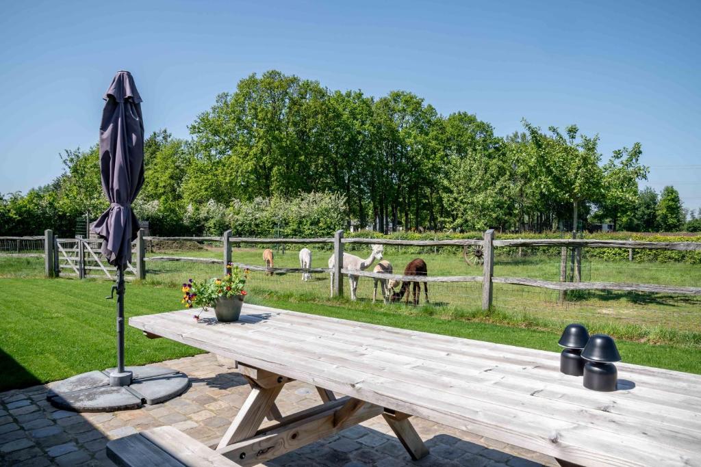Zahrada ubytování Hoeve den Akker - luxueuze vakantiewoningen met privétuinen en alpaca's nabij Brugge, Damme, Knokke, Sluis en Cadzand