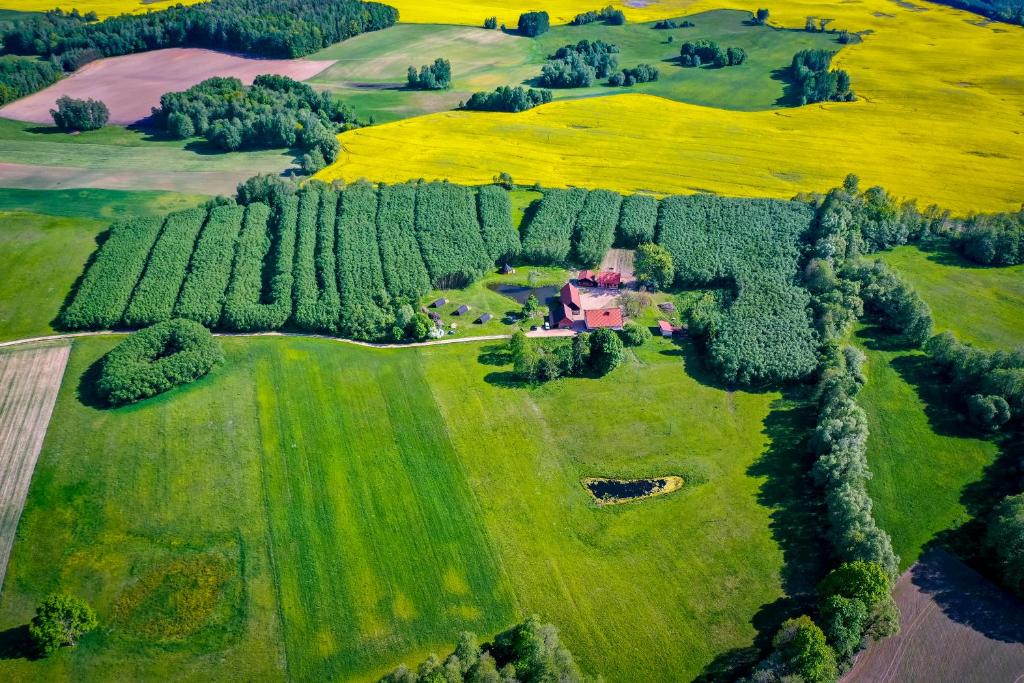 an aerial view of a house in a field with trees at Agroturystyka Dzikie Stawy-Mazury in Golubie Wężewskie