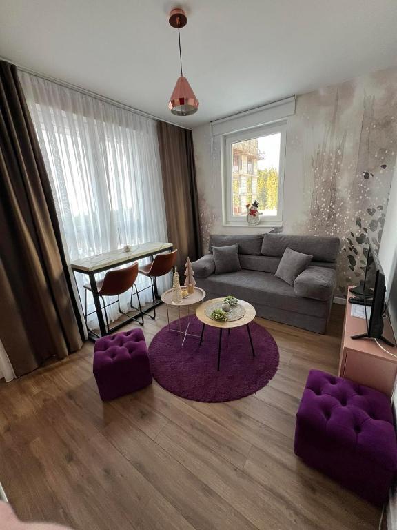 ein Wohnzimmer mit Sofa und Tisch in der Unterkunft Apartman JOY in Jahorina