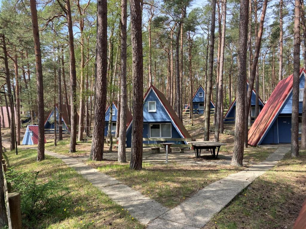 - un groupe de tentes dans une forêt avec une table de pique-nique dans l'établissement Finndorf am Strand, à Trassenheide