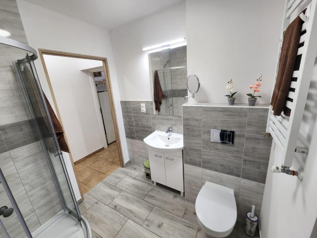 ルブニエビツェにあるApartament Lubniewiceのバスルーム(トイレ、洗面台、シャワー付)