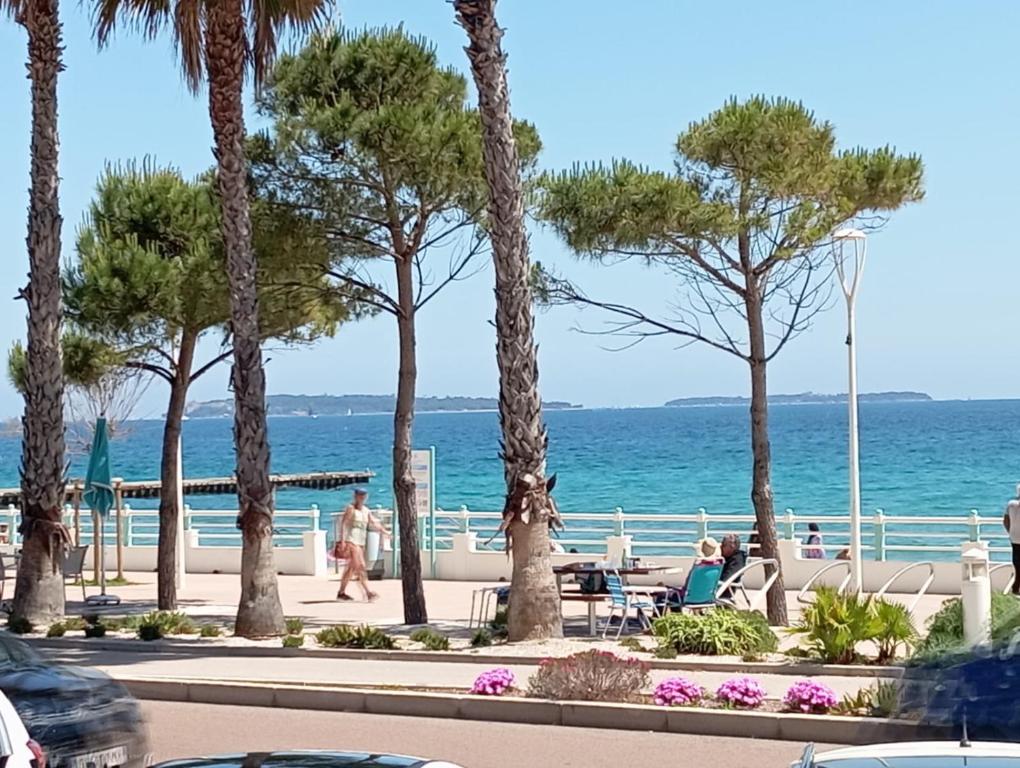 une vue sur l'océan depuis la plage avec des palmiers dans l'établissement Résidence bord de mer, Cannes Midi, Accès direct à la plage, à Cannes