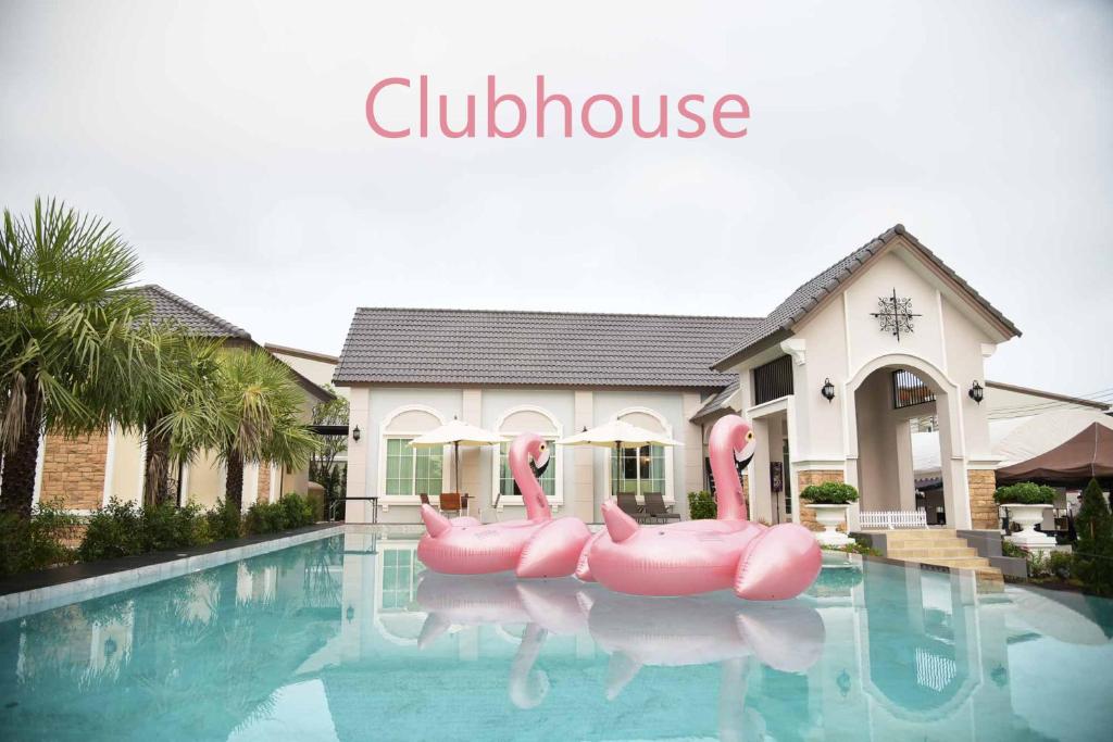 a group of pink flamingos in a swimming pool at H3, Fast Wi-Fi, Safari World in Bang Khen