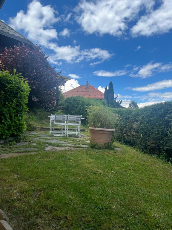 une table et des chaises assises dans la cour dans l'établissement Gîte Les Géraniums, à Pallud