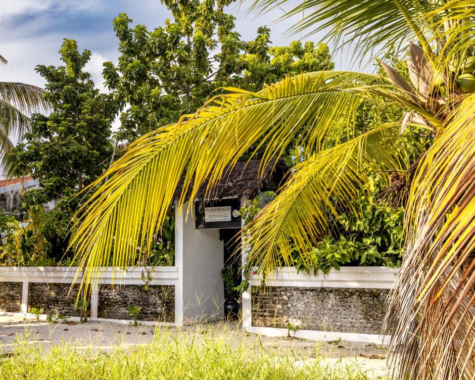 un palmier penche sur un bâtiment blanc dans l'établissement Fushi Beach Guesthouse, à Fenfushi