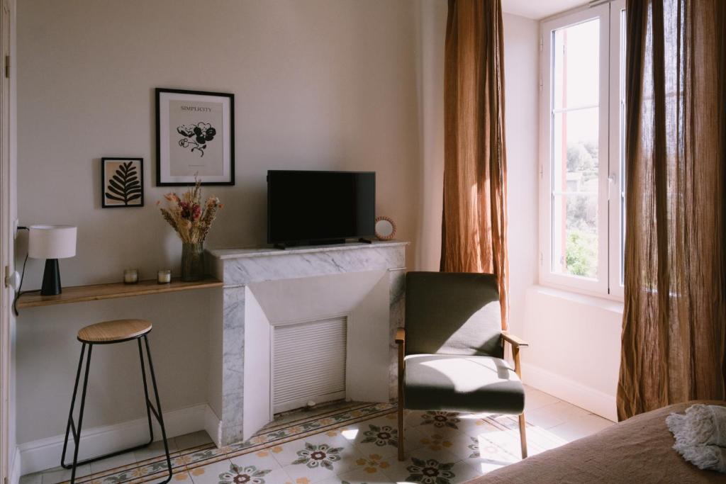 sala de estar con chimenea, silla y TV en L'Orangeraie d'Afa en Afa