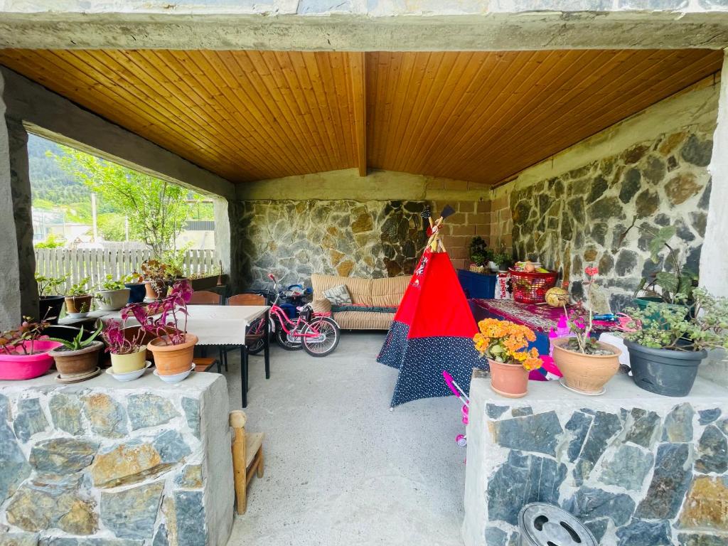 Zahrada ubytování Manana Japaridze's Guesthouse