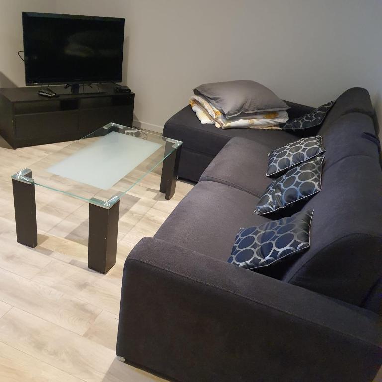 un salon avec un canapé et une table en verre dans l'établissement Jolie 2 pièces avec terrasse jusqu'à 5 personnes Nancy centre, à Nancy