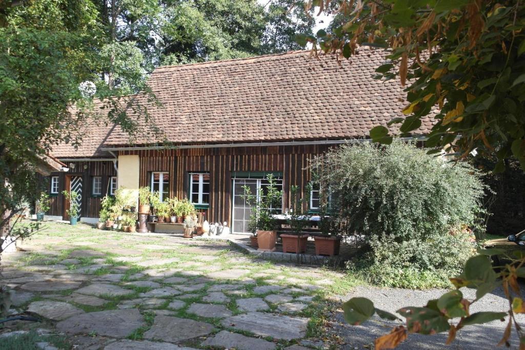 施泰因茨的住宿－Presshaus Alte Mühle，一座大型木屋,前面有一个院子