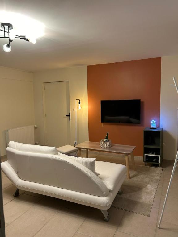 TV a/nebo společenská místnost v ubytování Logement cosy et moderne